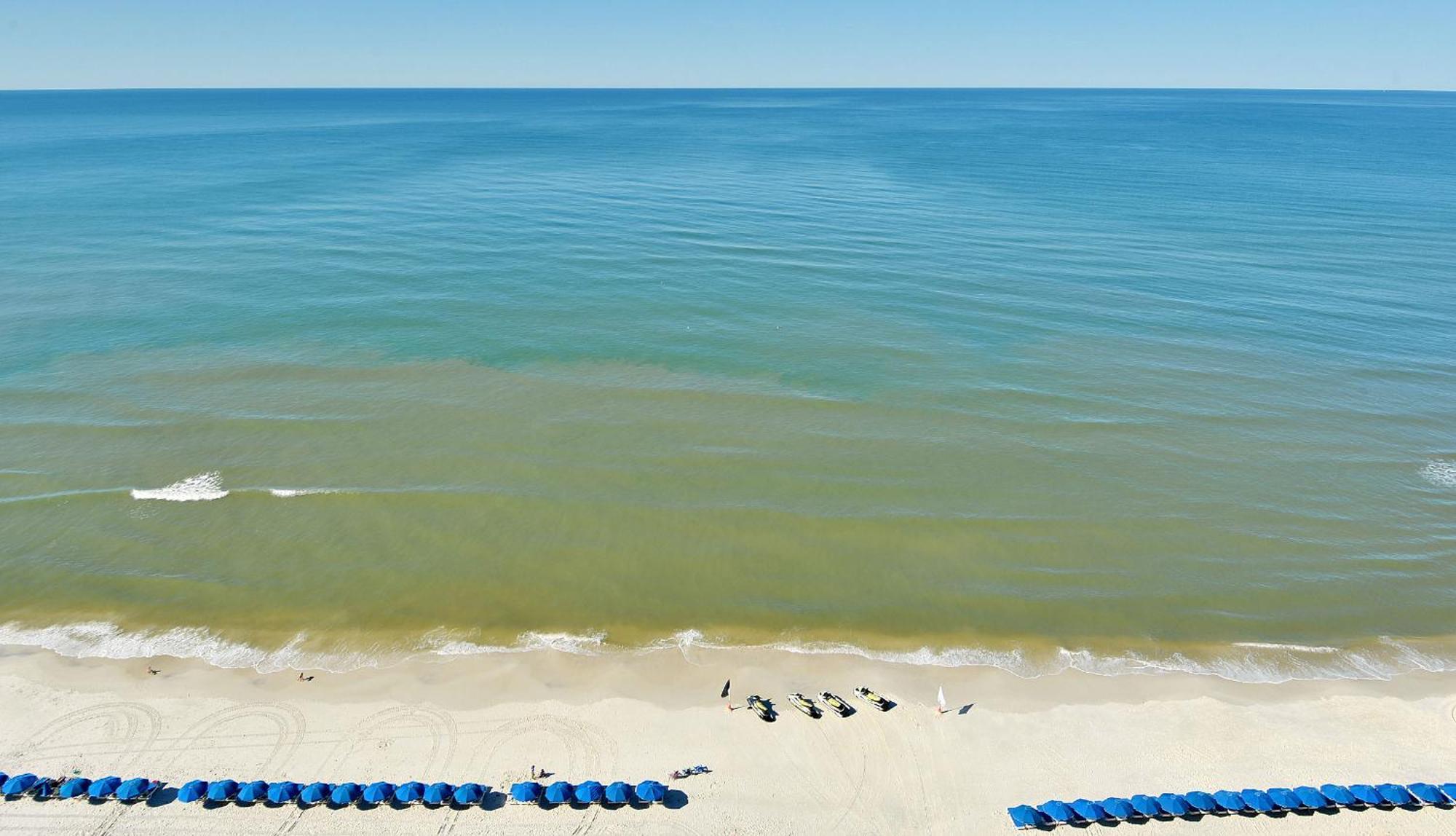 بنما سيتي بيتش Beachfront Oasis At Splash Resort And Condos المظهر الخارجي الصورة